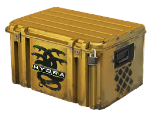 Кейсоперации«Гидра»